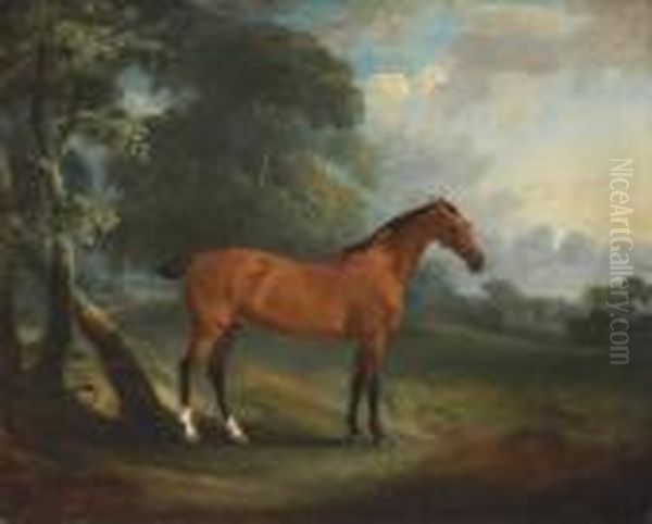 A Bay Hunter In A Wooded Landscape Oil Painting by John Snr Ferneley