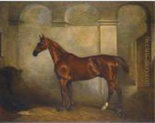 A Chestnut Horse In A Stable Oil Painting by John Snr Ferneley