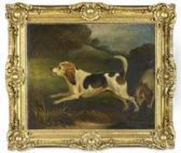 Study Of A Terrier In Landscape Oil Painting by John Snr Ferneley