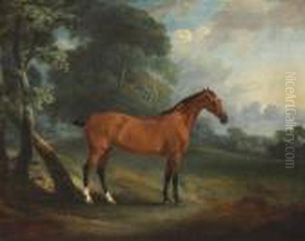 A Bay Hunter In A Wooded Landscape Oil Painting by John Snr Ferneley