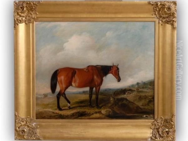 A Bay Hunteron A Heath Oil Painting by John Snr Ferneley