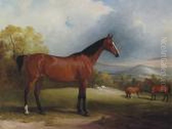 A Bay Hunter, With Other Hunters And Sheep Beyond, In Alandscape Oil Painting by John Snr Ferneley