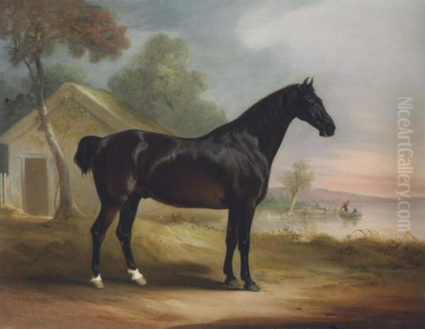 Mr Fowler's Favourite Hunter, Beside A Lake Oil Painting by John Snr Ferneley