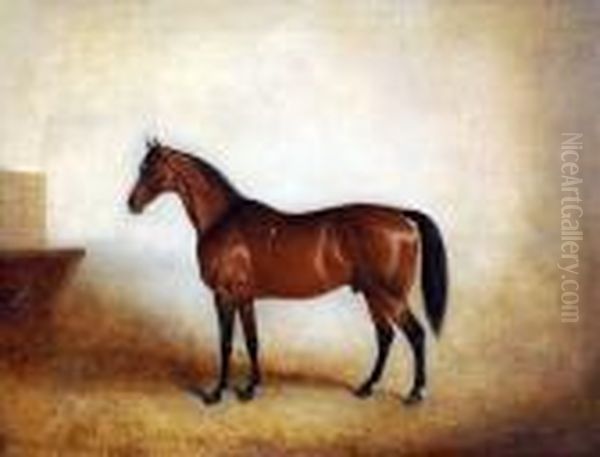 Chestnut Horse In Stable Interior Oil Painting by John Snr Ferneley