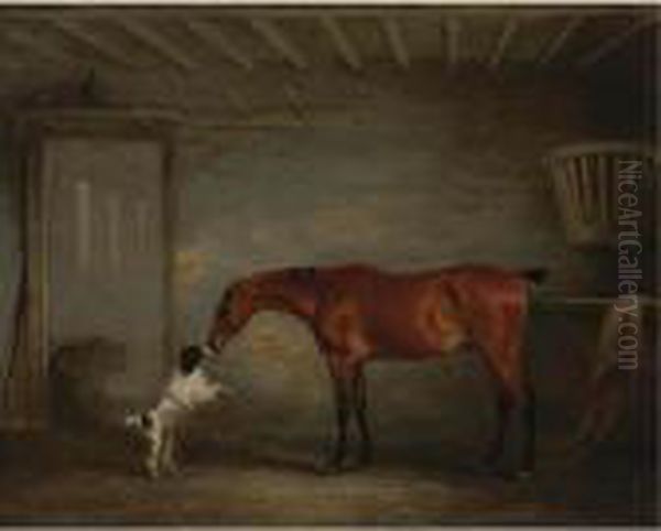 Hunter With Poodle Oil Painting by John Snr Ferneley