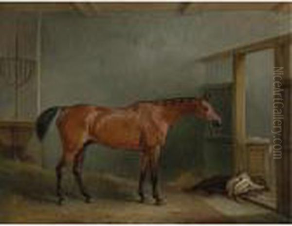 The Shaver, A Favorite Hunter Of Mr. Sterling Crawford Oil Painting by John Snr Ferneley