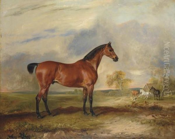 A Bay Hunter In An Extensive Landscape, With Other Horses Beyond Oil Painting by John Snr Ferneley