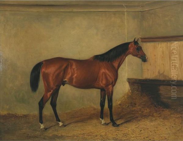 Melton Mowbray, A Bay Hunter In A
 Stable, The Property Of Henry George Herbert, 7th Earl Of Carnarvon Oil Painting by John Snr Ferneley