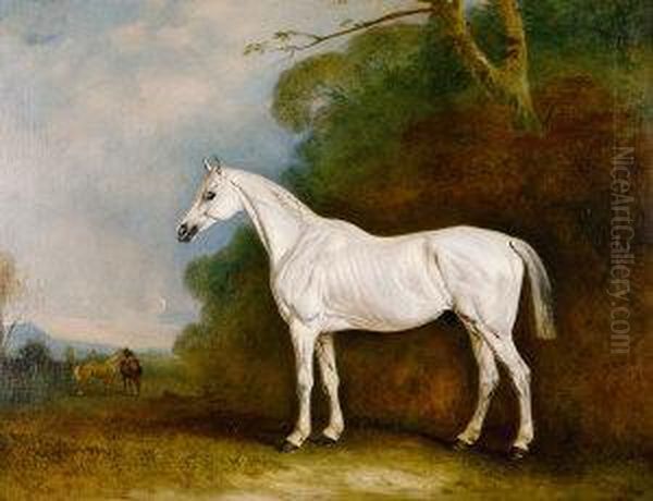 Portrait Of A Grey Colt In A Landscape Oil Painting by John Snr Ferneley