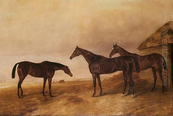 Brood Mares In A Field Oil Painting by John Snr Ferneley