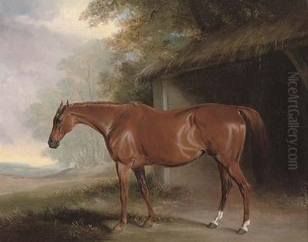 A Chestnut Hunter Outside A Stable Oil Painting by John Snr Ferneley