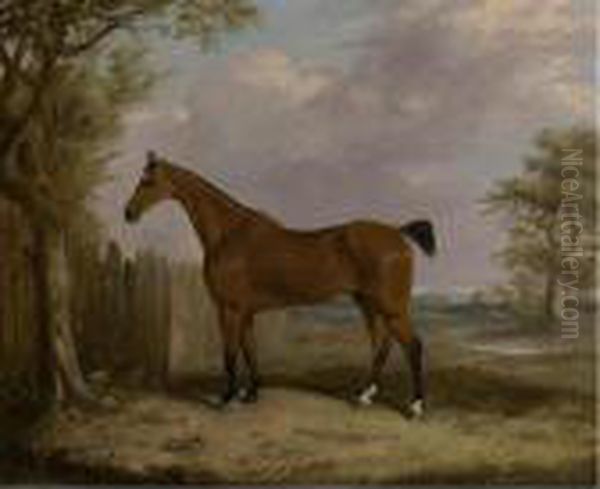 A Bay Hunter In A Landscape Oil Painting by John Snr Ferneley