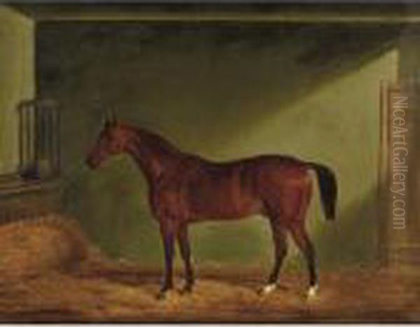 A Bay Horse, Said To Be Red Devil Oil Painting by John Snr Ferneley