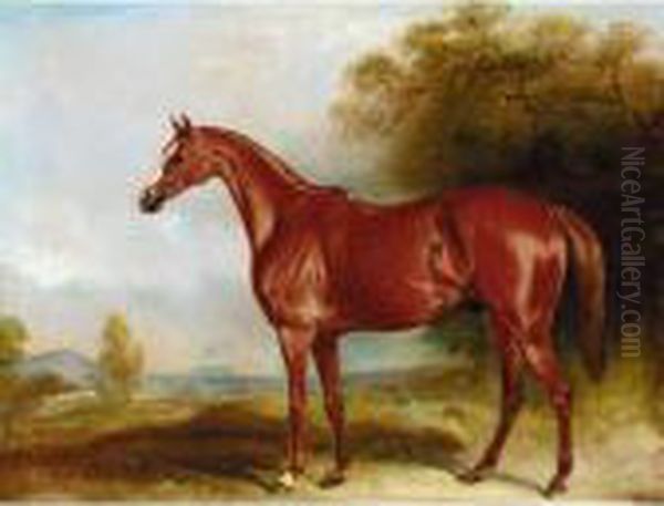 Harkaway , A Chestnut Racehorse In A Landscape Oil Painting by John Snr Ferneley