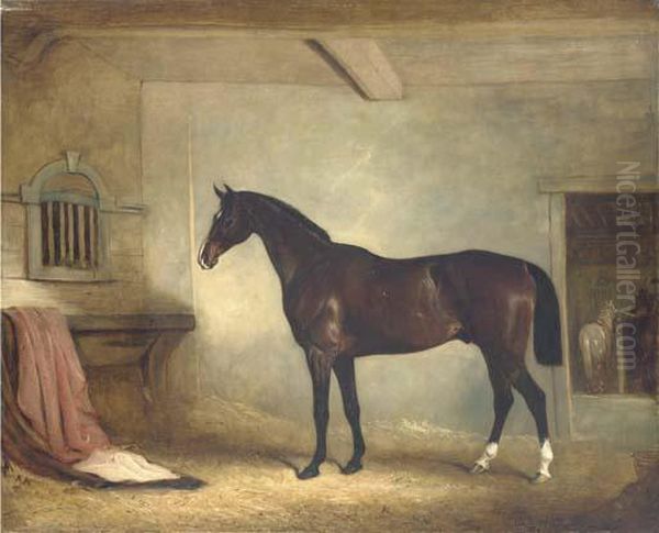 Mr. W. Everard's Dark Bay Hunter In A Loose-box Oil Painting by John Snr Ferneley