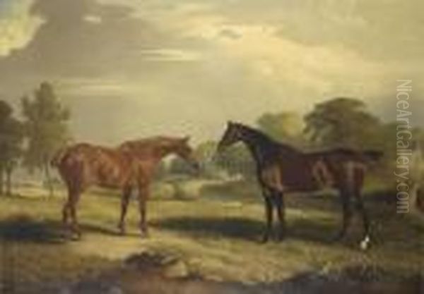 Two Hunters At Grass Oil Painting by John Snr Ferneley