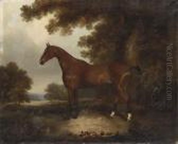 A Bay Hunter In A Wooded Landscape Oil Painting by John Snr Ferneley