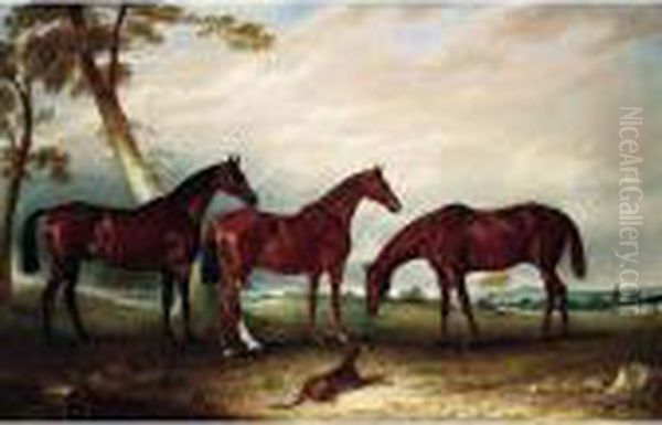 Marvel, Kingfisher And The Lad, 
Three Hunters Belonging To William Angerstein, In A Field With His Dog 
Spring Oil Painting by John Snr Ferneley