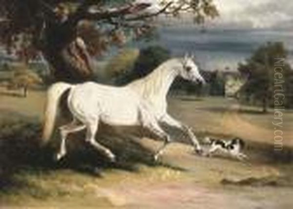 Mr. Dawson's Phoebus Oil Painting by John Snr Ferneley