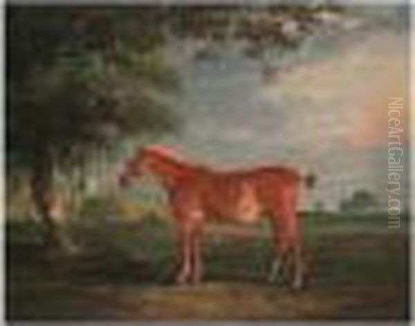 A Chestnut Cob In A Landscape, With Melton Mowbray Church Beyond Oil Painting by John Snr Ferneley