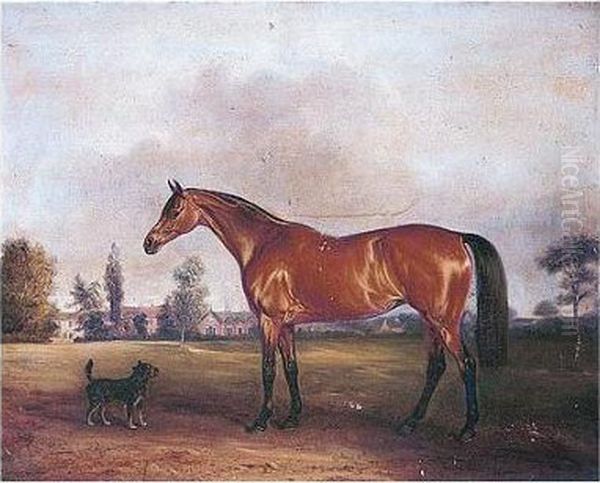 Epsom, A Favourite Hunter 
Belonging To Lady Eleanor Cecily Clifton Of Lytham Hall, Lancashire Oil Painting by John Snr Ferneley