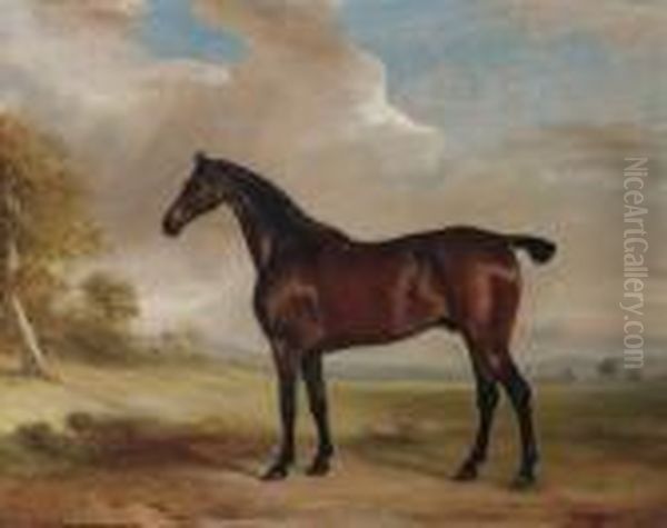 A Bay Hunter In An Extensive Landscape Oil Painting by John Snr Ferneley