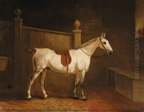 A Saddled Grey Hunter In A Stable Oil Painting by John Snr Ferneley