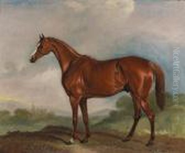 Mr Ferguson's Chestnut Colt Harkaway In A Landscape Oil Painting by John Snr Ferneley