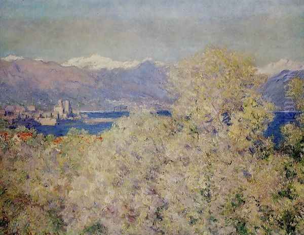 Antibes - View of the Salis Gardens Oil Painting by Claude Oscar Monet