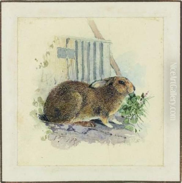 Un Lapin Oil Painting by Anthony Vandyke Copley Fielding