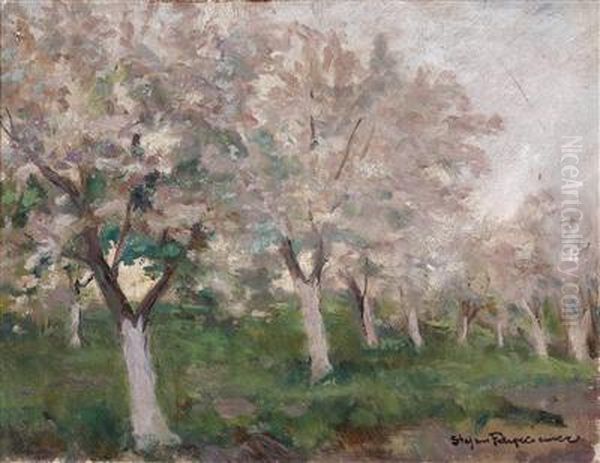 Trees In Blossom Oil Painting by Stefan Filipkiewicz