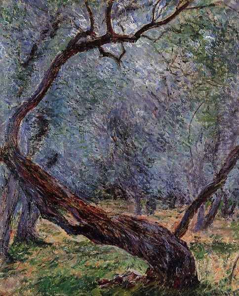 Study Of Olive Trees Oil Painting by Claude Oscar Monet