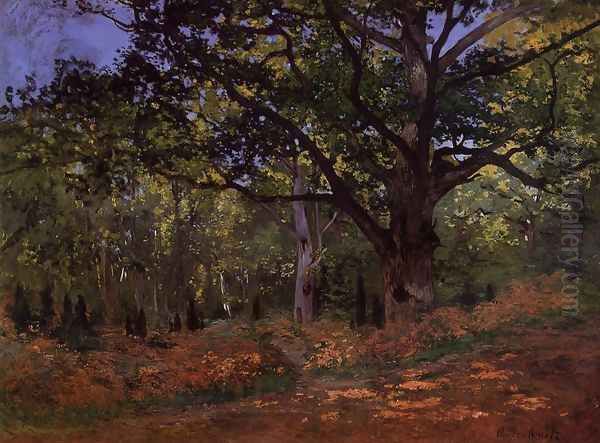 The Bodmer Oak Fontainebleau Oil Painting by Claude Oscar Monet