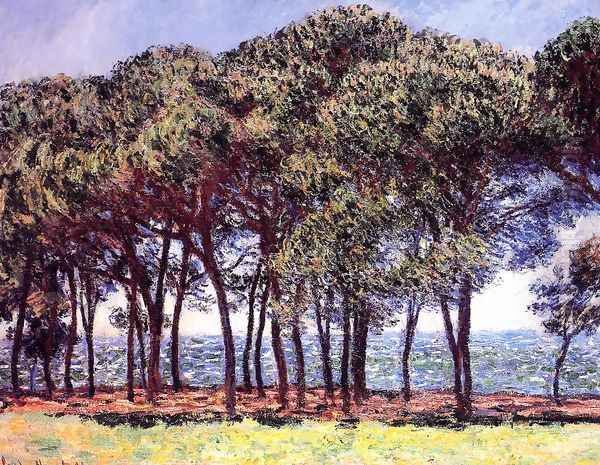 Pine Trees Cap DAntibes Oil Painting by Claude Oscar Monet