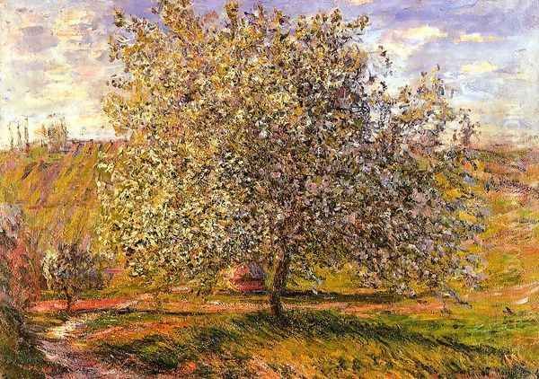 Tree In Flower Near Vetheui Oil Painting by Claude Oscar Monet