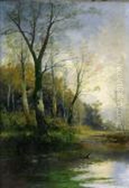 Teichlandschaft Mit Enten Oil Painting by Georg Fischof