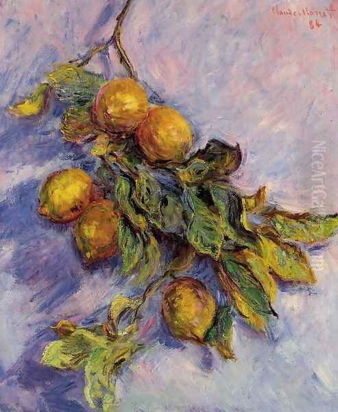 Lemons On A Branch Oil Painting by Claude Oscar Monet