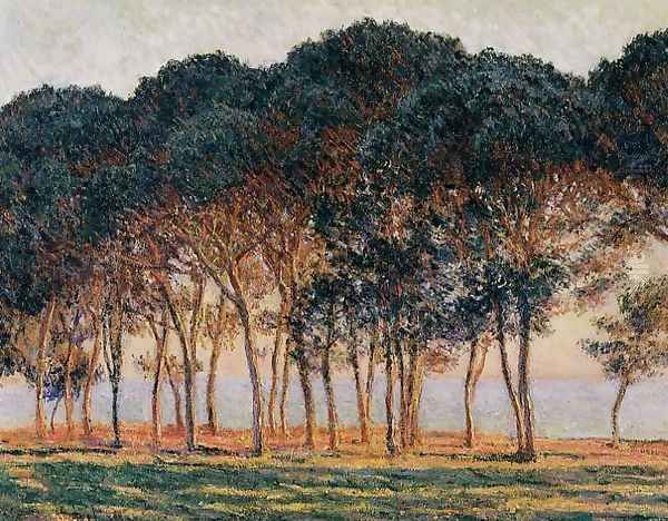 Under The Pine Trees At The End Of The Day Oil Painting by Claude Oscar Monet