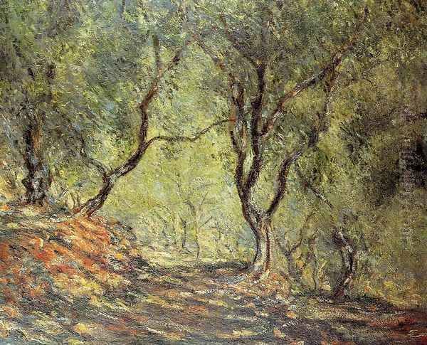 The Olive Tree Wood In The Moreno Garden Oil Painting by Claude Oscar Monet