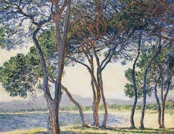 Trees By The Seashore At Antibes Oil Painting by Claude Oscar Monet