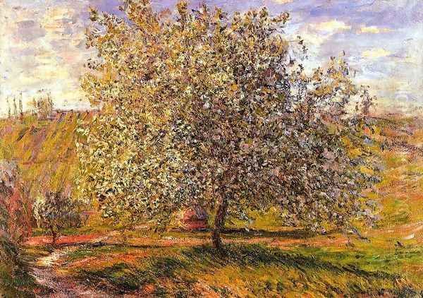 Tree in Flower near Vetheuil Oil Painting by Claude Oscar Monet