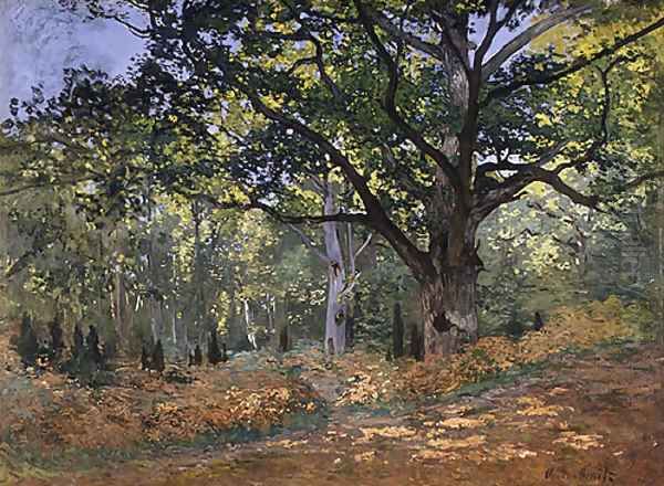 The Bodmer Oak Fontainebleau Forest 1865 Oil Painting by Claude Oscar Monet