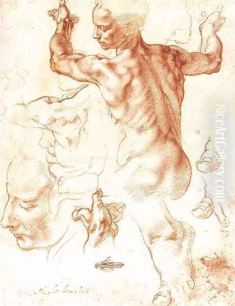 Study for the Libyan Sibyl 1511 Oil Painting by Michelangelo Buonarroti