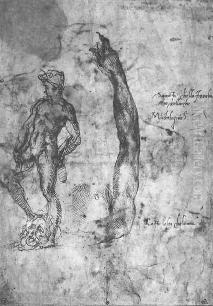 Study For An Arm Of The Marble David And The Figure Of The Bronze David Oil Painting by Michelangelo Buonarroti