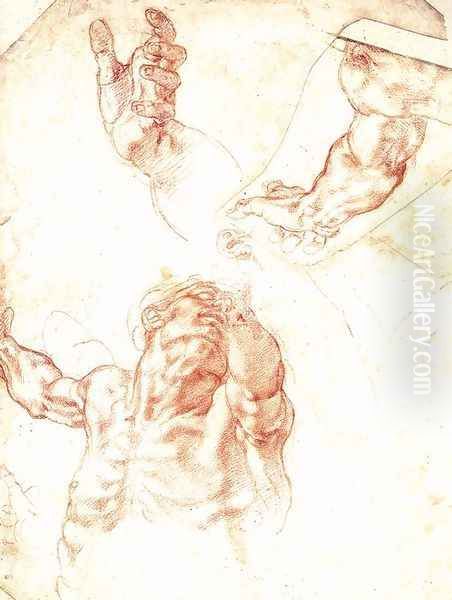 Study for Haman 1511 Oil Painting by Michelangelo Buonarroti