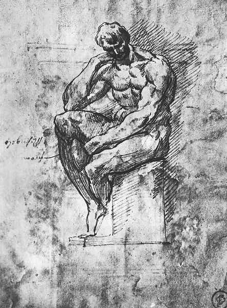 Study of a Man 1510-11 Oil Painting by Michelangelo Buonarroti