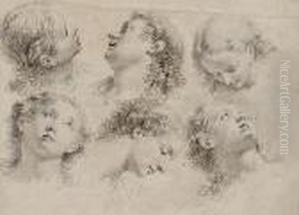 Six Head Studies Of A Youth Oil Painting by Francesco Fontebasso