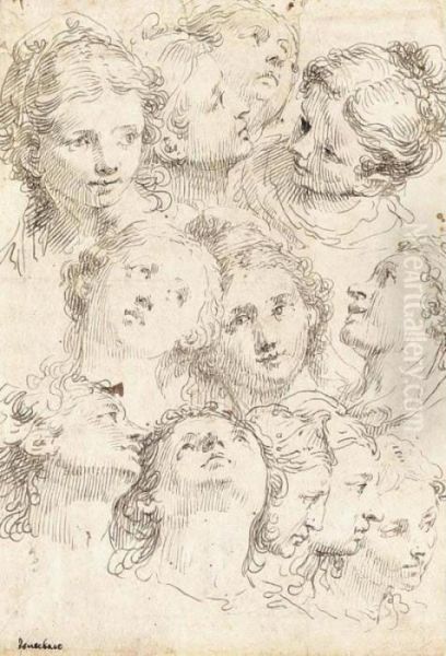 Sheet Of Studies Of Female Heads Oil Painting by Francesco Fontebasso