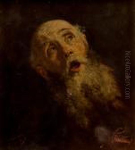 Cabeza De Anciano Oil Painting by Mariano Jose Maria Bernardo Fortuny y Carbo