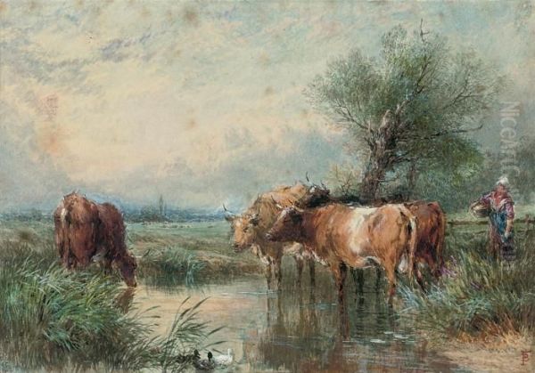 Cattle Watering At A Stream Oil Painting by Myles Birket Foster